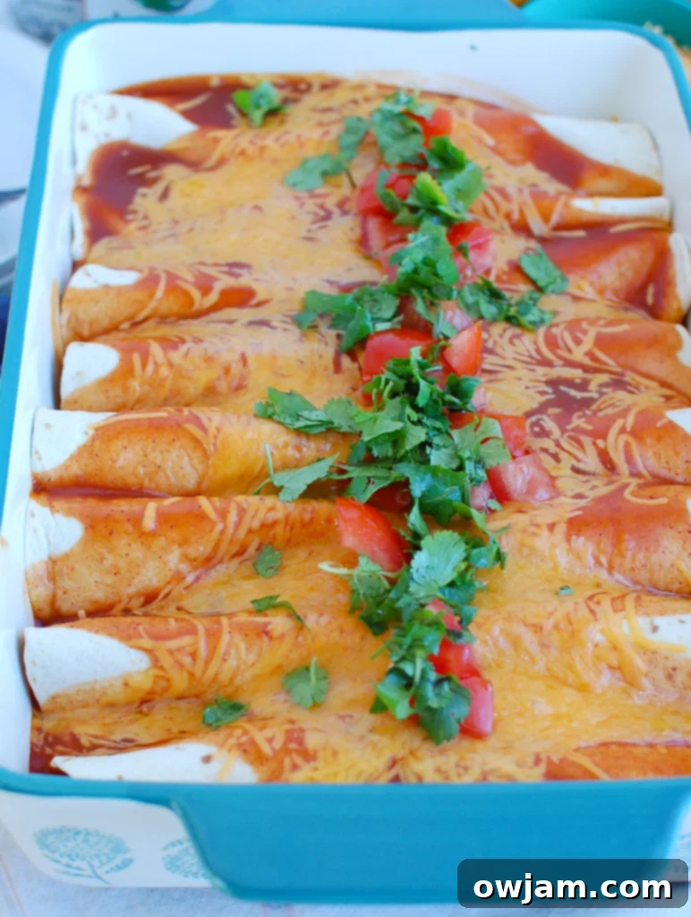 Easy Chicken Enchiladas in blue pan