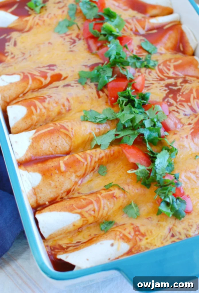Easy Chicken Enchiladas with cilantro