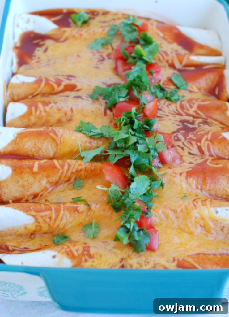 Easy Chicken Enchiladas with tomatoes