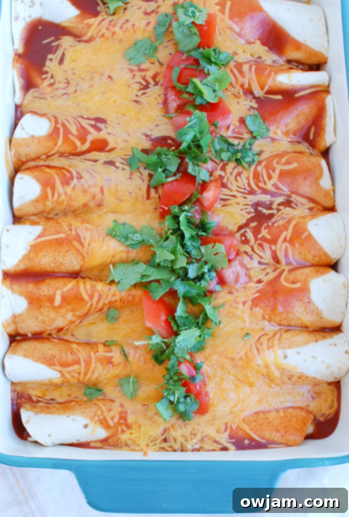 Easy Chicken Enchiladas in a large casserole dish 