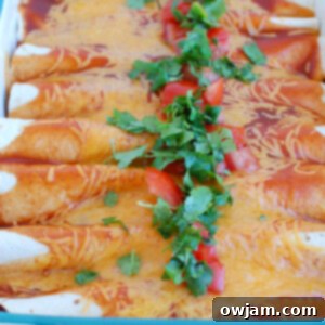 Easy Chicken Enchiladas with tomatoes