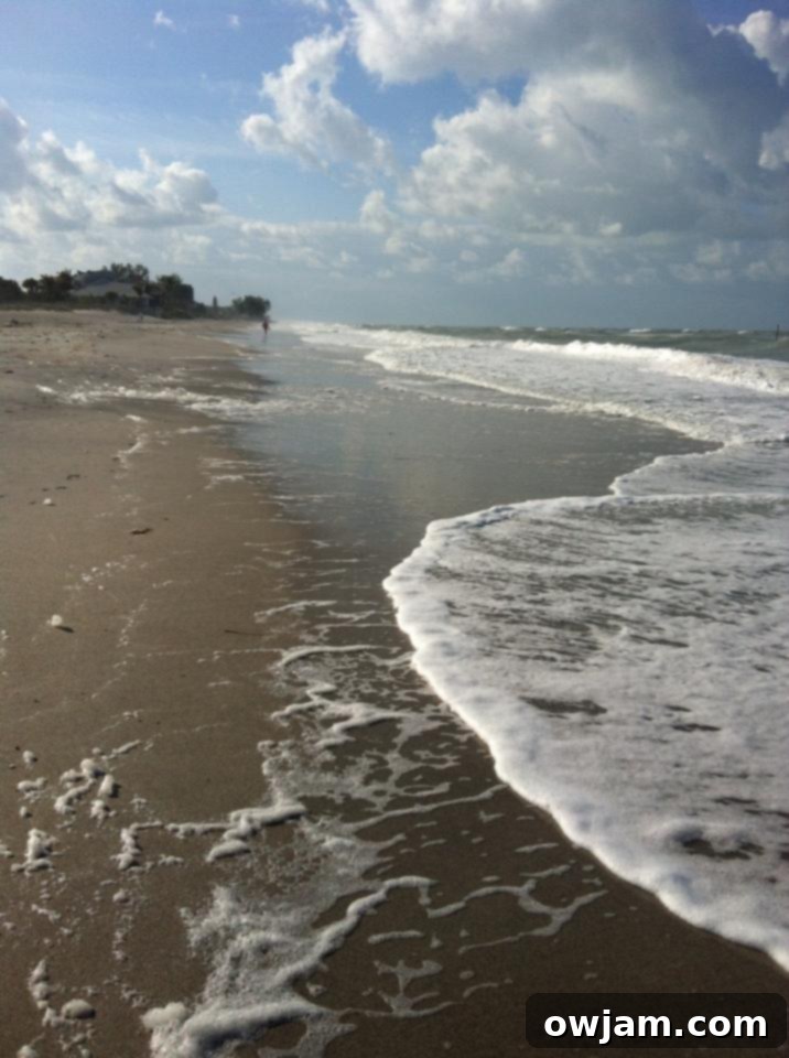 Florida Beach