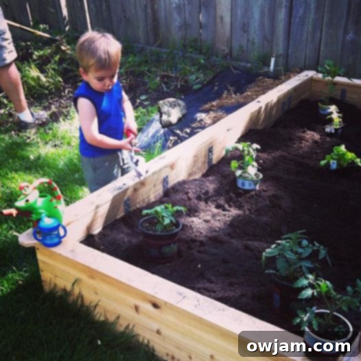 Vibrant Bulgur Salad with Creamy Mint Yogurt Dressing 3 Young boy, Will, proudly standing in a newly planted raised bed garden
