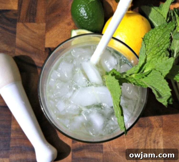 Zesty Lemon-Lime Vodka Refresher 3 Lemon Lime Vodka Cooler enjoyed by the pool or at a backyard BBQ