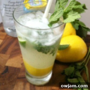 Zesty Lemon-Lime Vodka Refresher 5 Lemon Lime Vodka Cooler