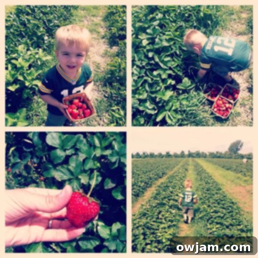 A child happily picking fresh strawberries in a field, symbolizing summer's bounty and family activities.