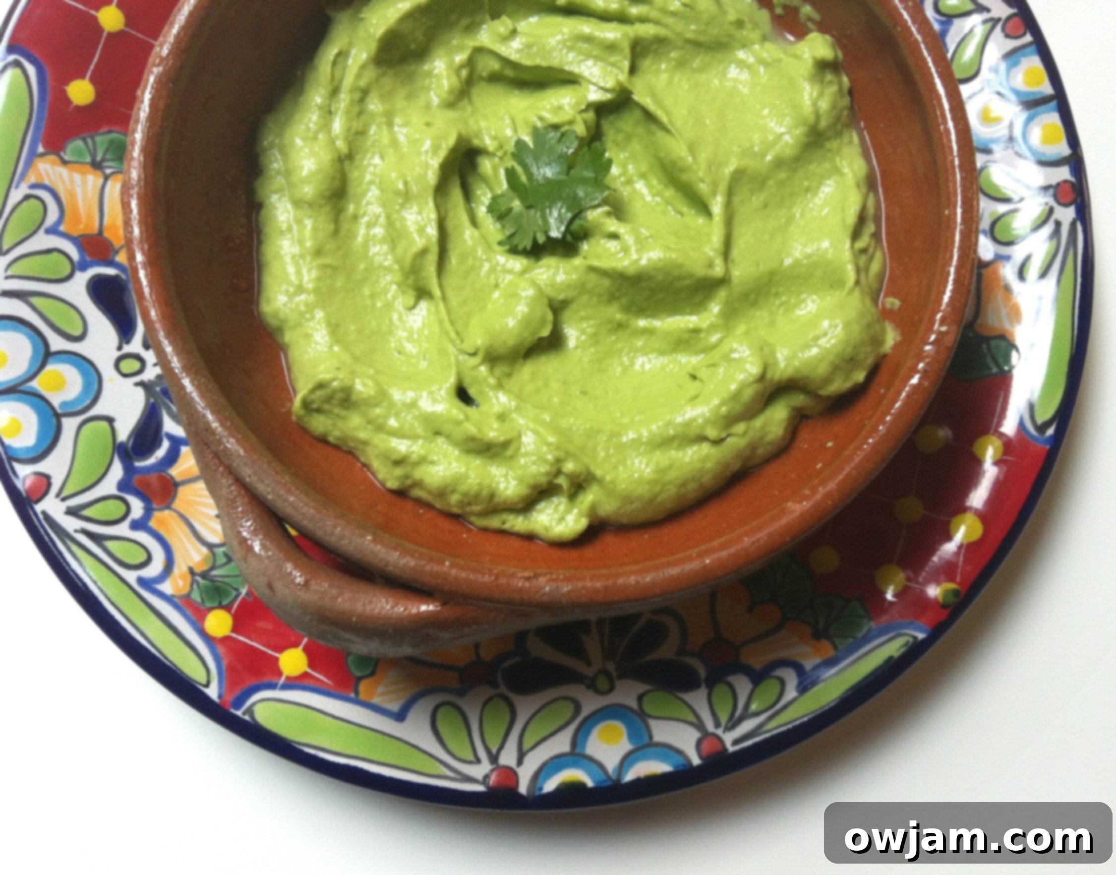 Columbian Guacamole