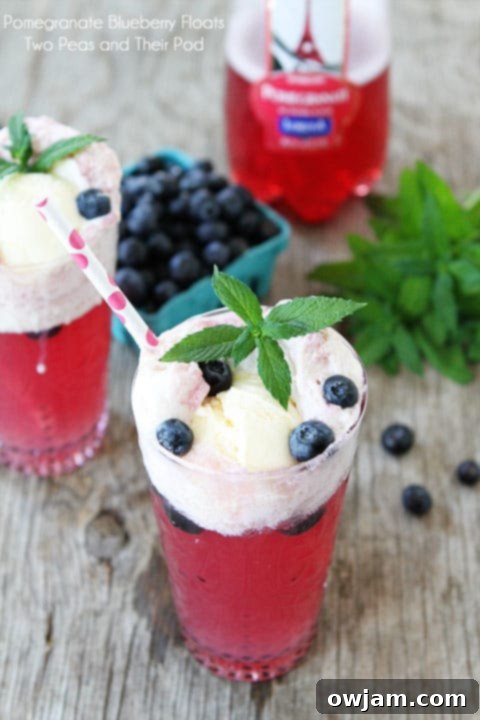 Pomegranate Blueberry Float
