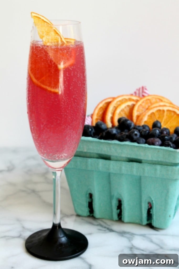 Citrus Hibiscus Fizz