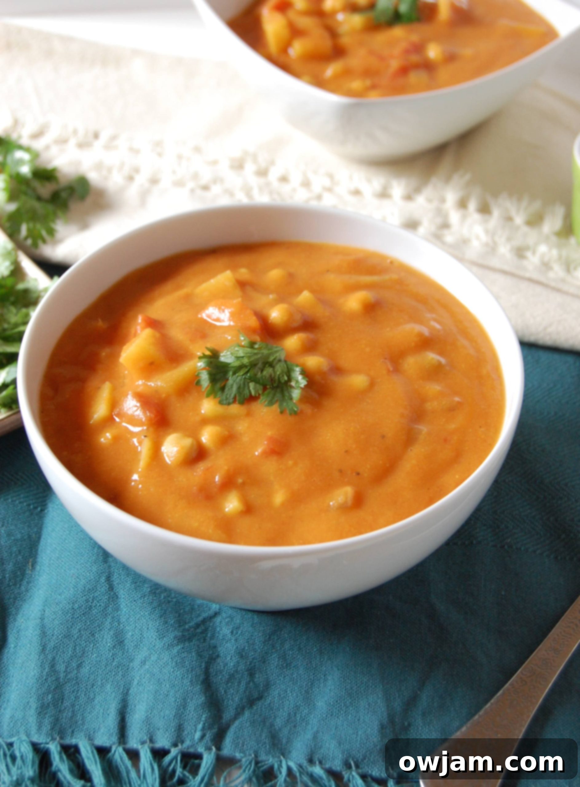 Aromatic Indian Chickpea Vegetable Soup 2 A steaming bowl of Indian Spiced Vegetable Chickpea Soup garnished with fresh cilantro, ready to be enjoyed.