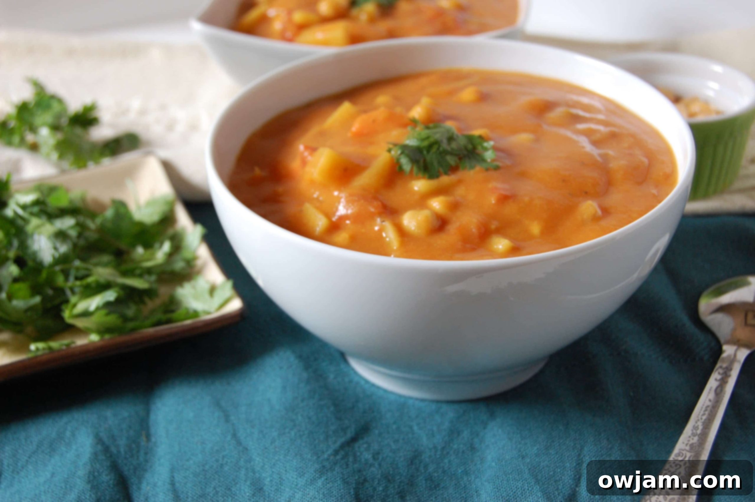 Aromatic Indian Chickpea Vegetable Soup 4 A close-up of Indian Spiced Vegetable Chickpea Soup in a pot, showing the rich texture and vibrant colors of the ingredients.