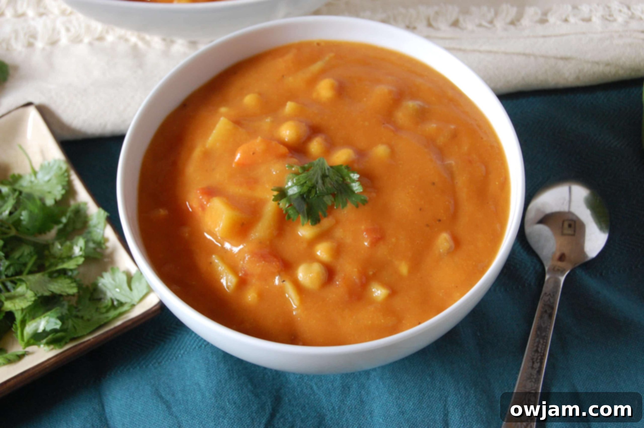 Aromatic Indian Chickpea Vegetable Soup 5 A vibrant bowl of Indian Spiced Vegetable Chickpea Soup with a generous garnish of fresh cilantro, ready to eat.