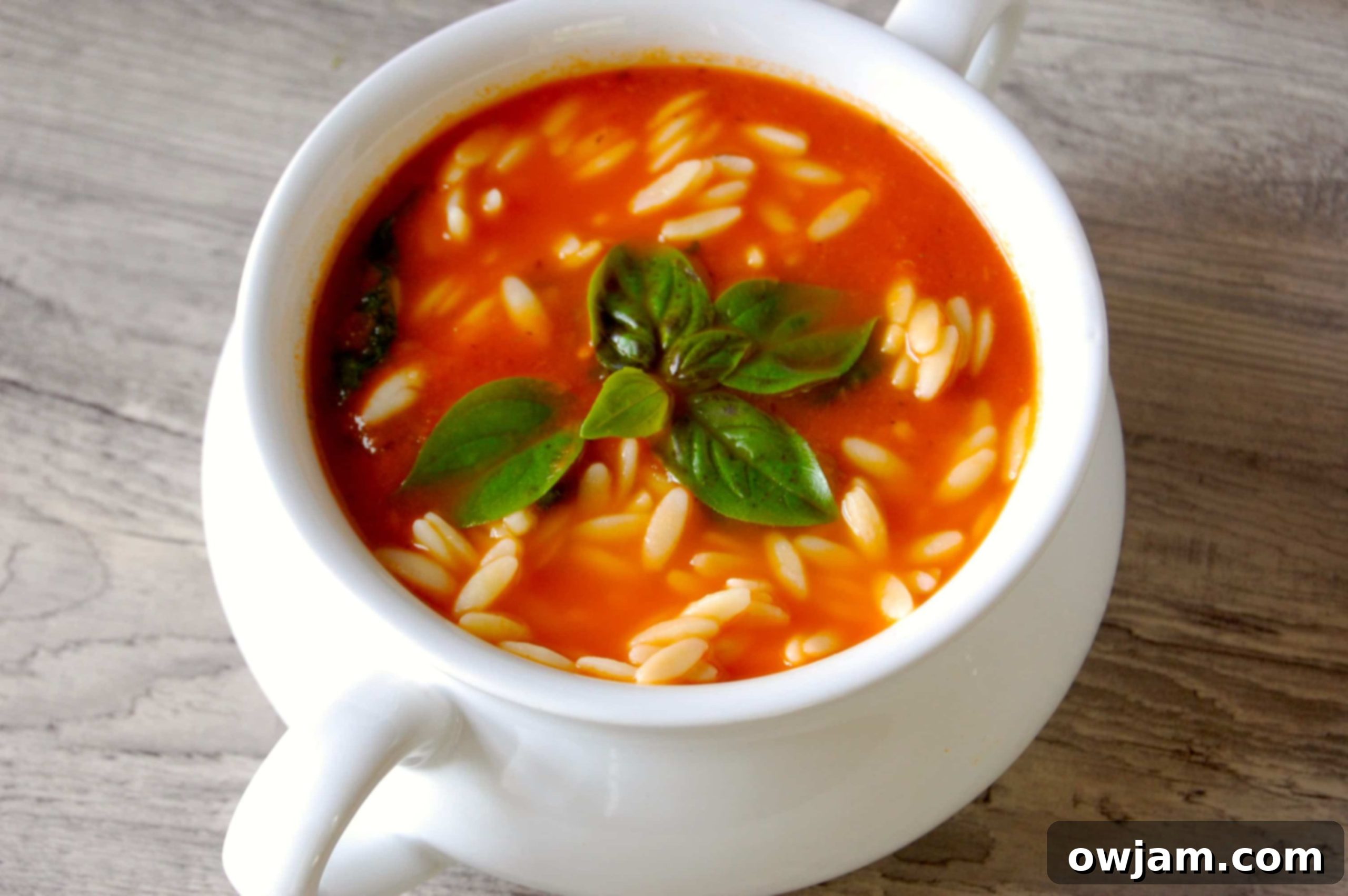 Rustic Tomato Spinach Orzo Soup 2 A steaming bowl of Tomato Spinach Orzo Soup, garnished with fresh basil.