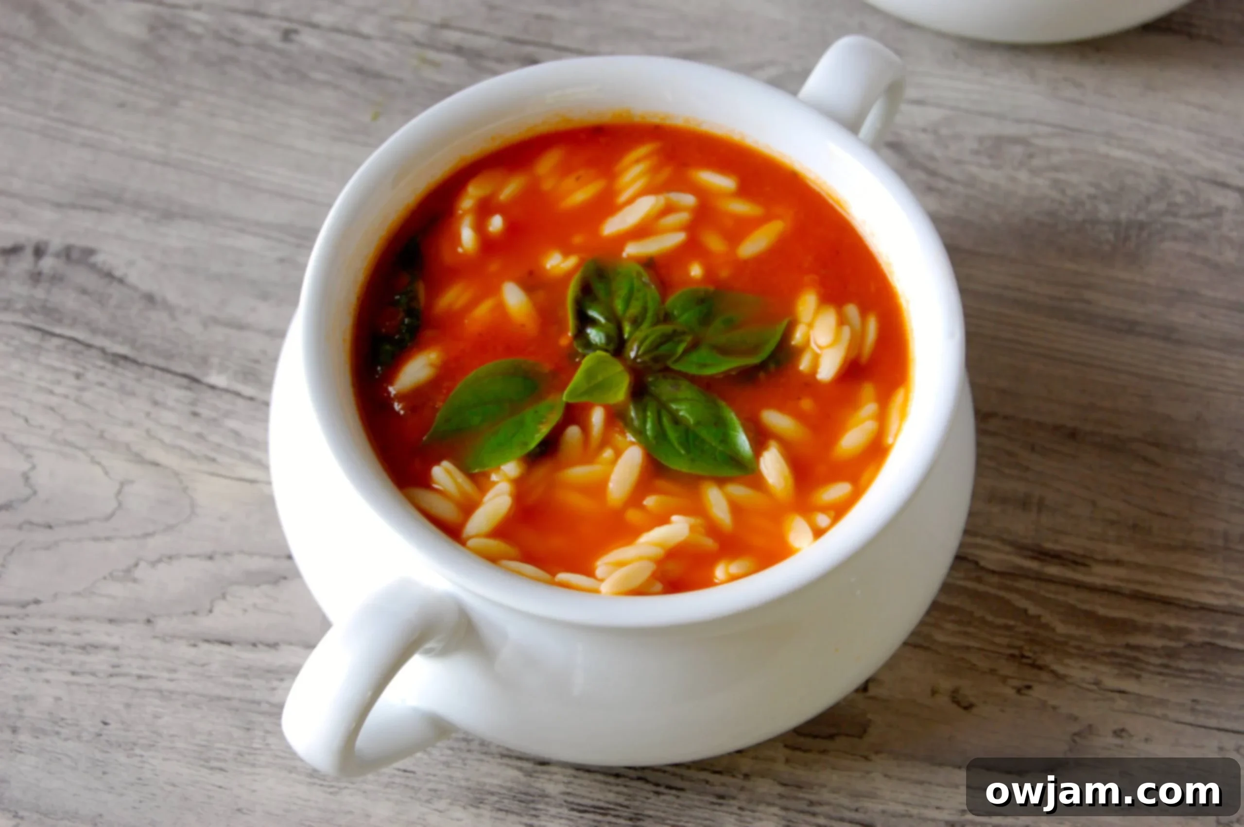 Rustic Tomato Spinach Orzo Soup 3 A close-up shot of Tomato Spinach Orzo Soup in a bowl with a spoon.