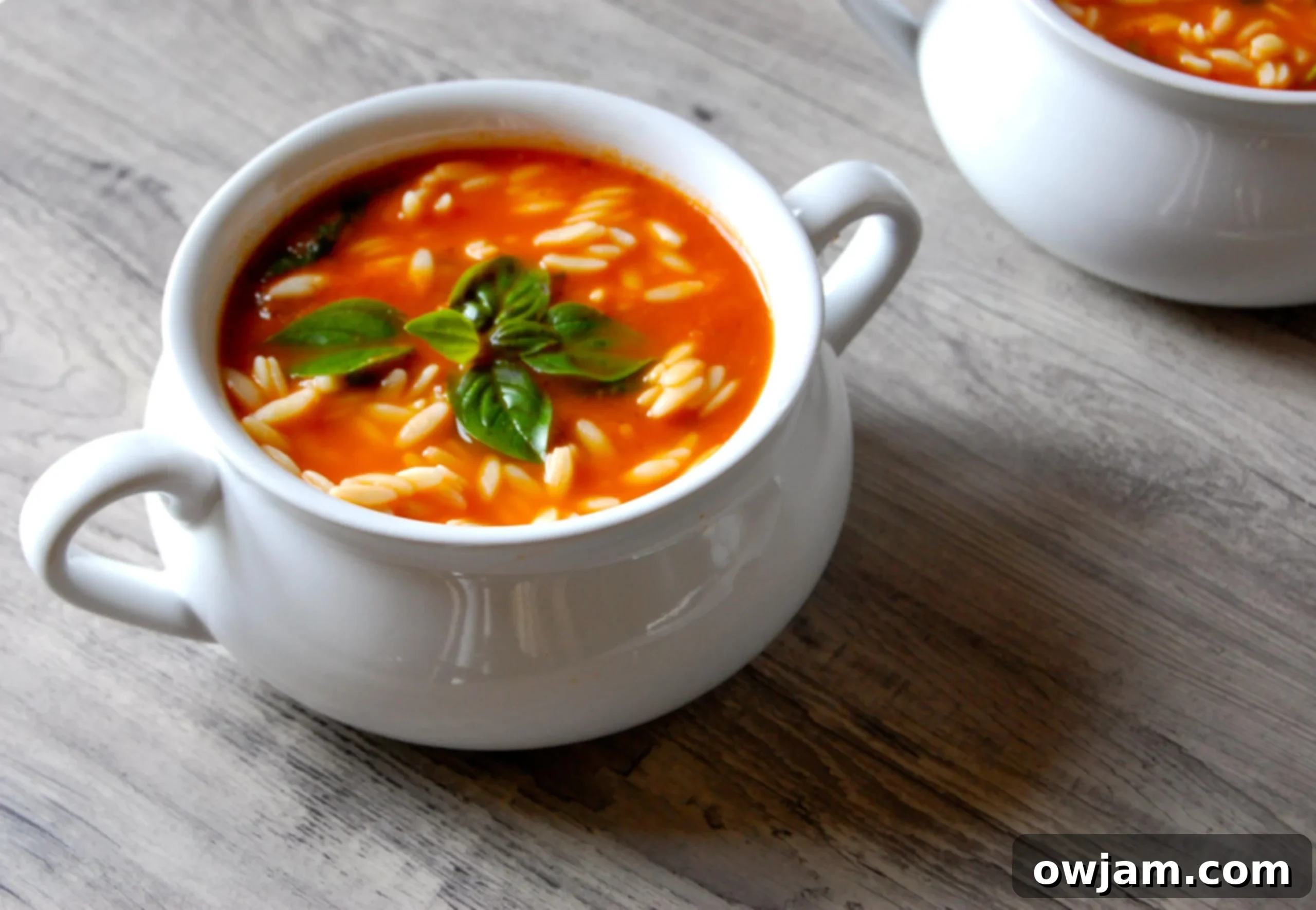 Rustic Tomato Spinach Orzo Soup 4 A bowl of Tomato Spinach Orzo Soup, perfect for a cozy fall day.
