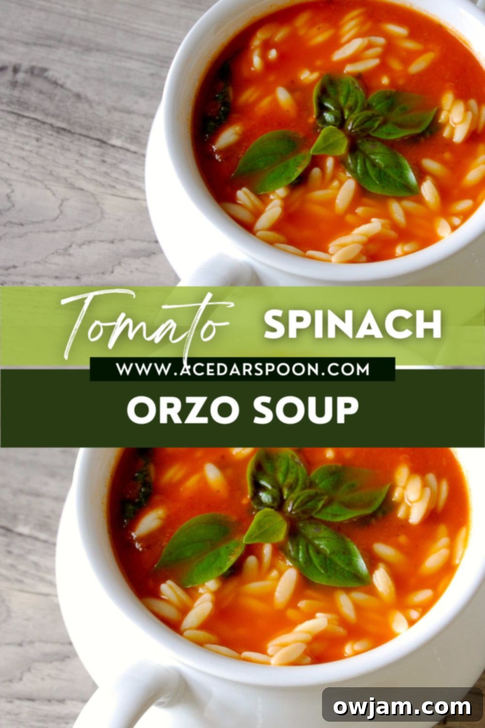 Rustic Tomato Spinach Orzo Soup 5 Tomato Spinach Orzo Soup with a branding logo, ideal for sharing.