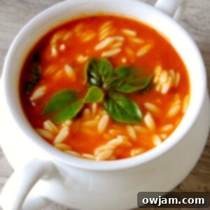 Rustic Tomato Spinach Orzo Soup 6 Tomato Spinach Orzo Soup