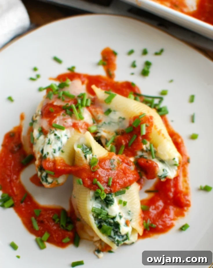Delicious Stuffed Shells 2 Stuffed Shells, a comforting, cheesy baked pasta dish with tomato sauce, perfect for family meals.