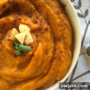 Golden Harvest Comfort 5 Butternut Squash Sweet Potato Apple Soup