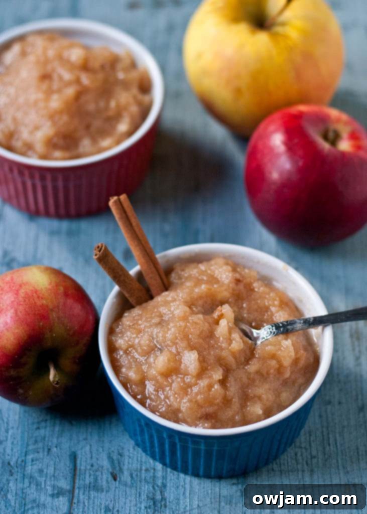 Applesauce Neighbor Food