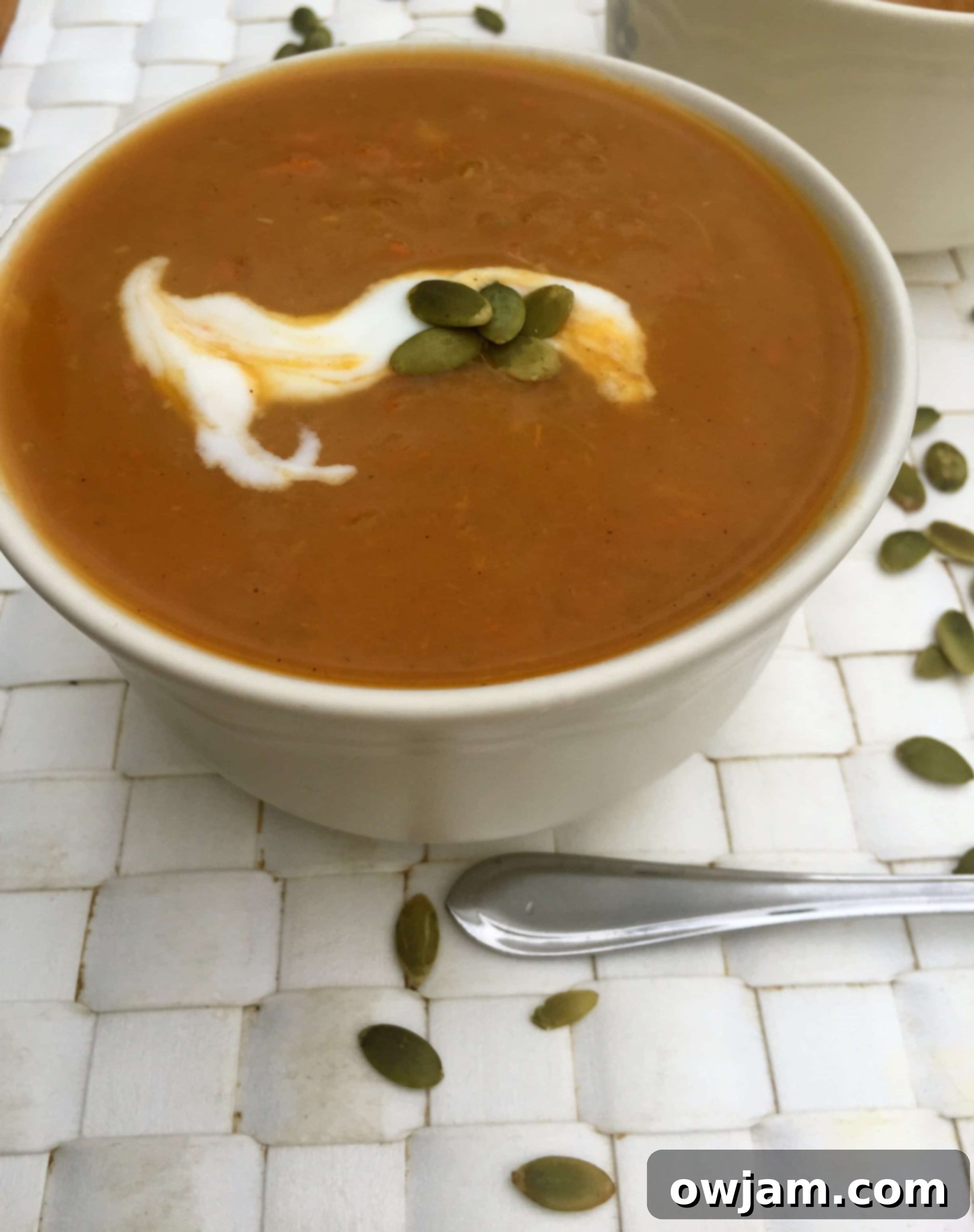 Golden Autumn Slow Cooker Soup 2 IMG_4904