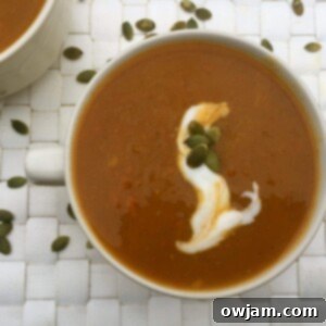 Golden Autumn Slow Cooker Soup 5 Slow Cooker Butternut Squash Sweet Potato Soup