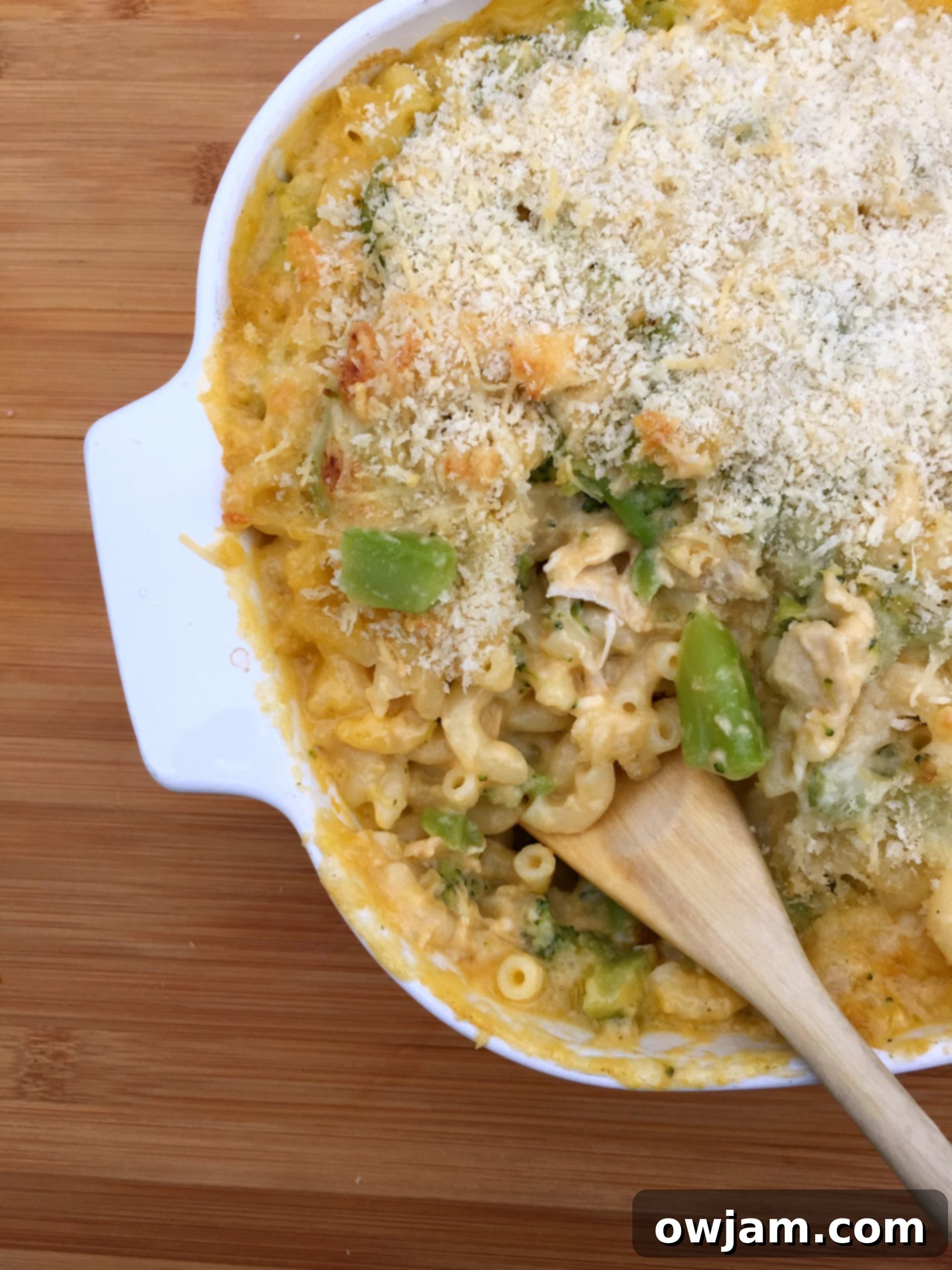 Creamy Chicken Broccoli Macaroni Bake 2 Creamy Chicken Broccoli Macaroni and Cheese, baked to perfection with a golden, crispy panko topping in a casserole dish.