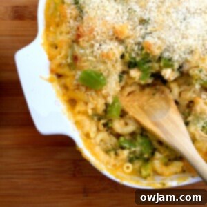 Creamy Chicken Broccoli Macaroni Bake 5 Chicken Broccoli Mac and Cheese