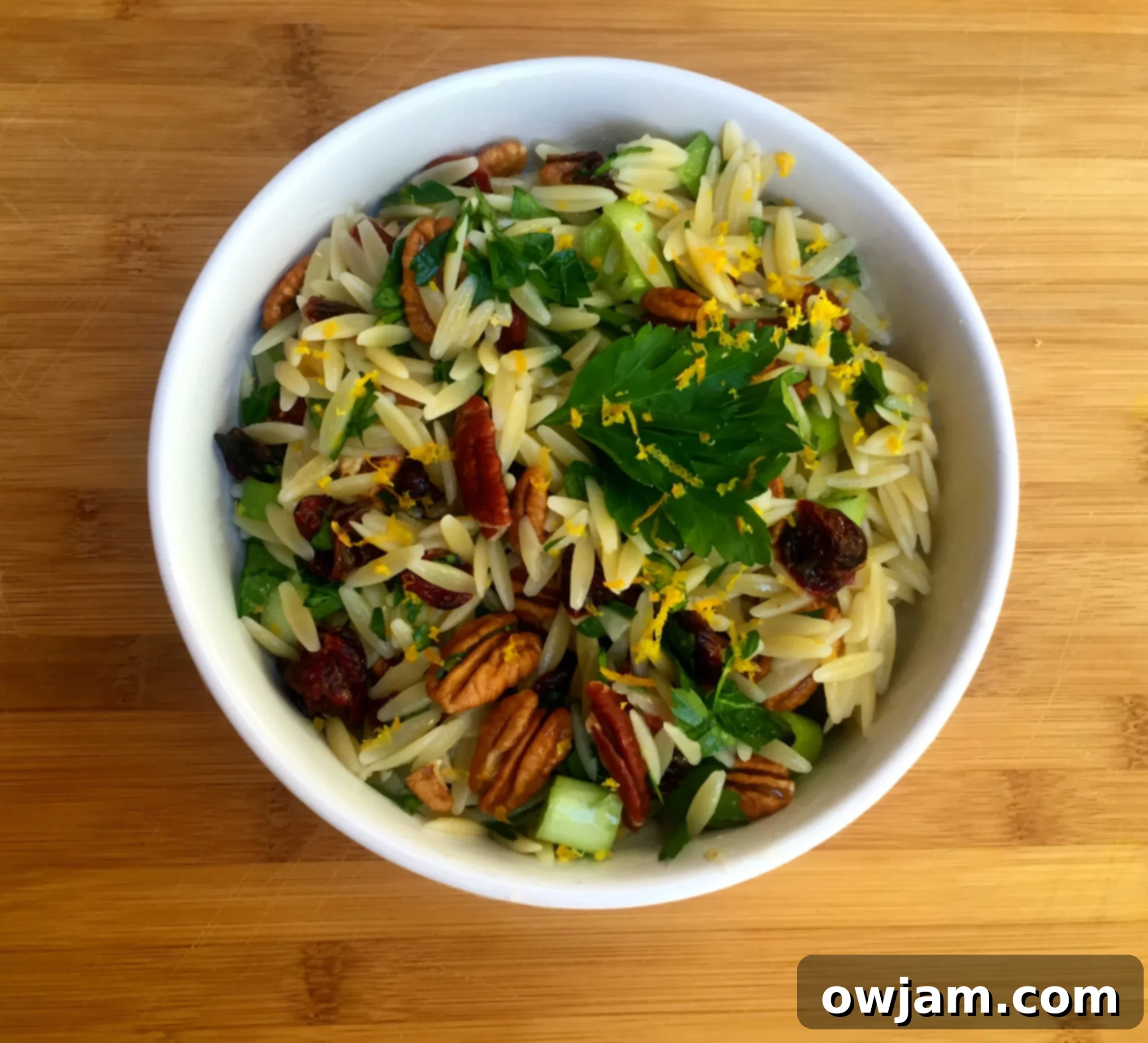 Vibrant Cranberry Orange Pecan Orzo Salad 3 Close-up of Cranberry Pecan and Orange Orzo Salad, showcasing texture and freshness