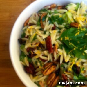 Vibrant Cranberry Orange Pecan Orzo Salad 4 Cranberry, Pecan and Orange Orzo Pasta Salad