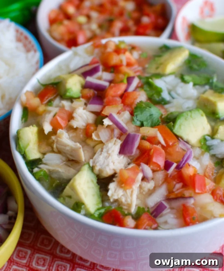 Zesty Slow Cooker Mexican Chicken Lime Soup 2 Slow Cooker Mexican Chicken Lime Soup with toppings