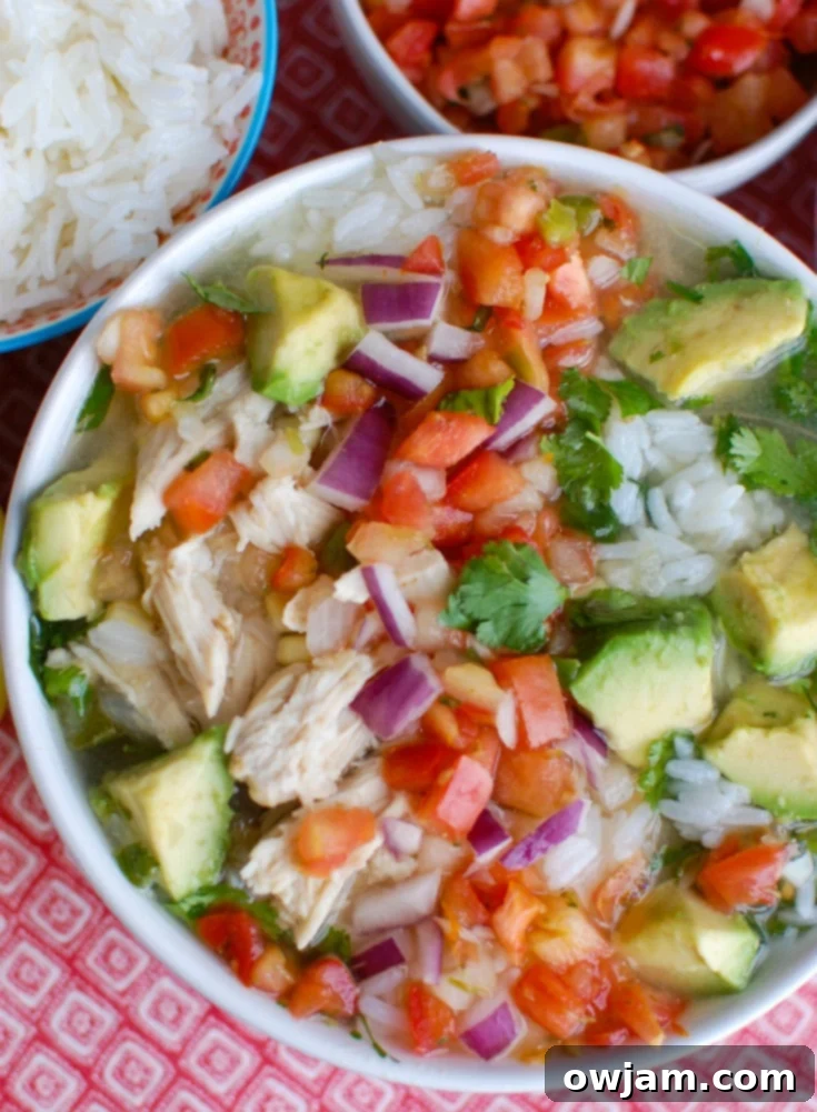 Zesty Slow Cooker Mexican Chicken Lime Soup 3 Slow Cooker Mexican Chicken Lime Soup with avocado