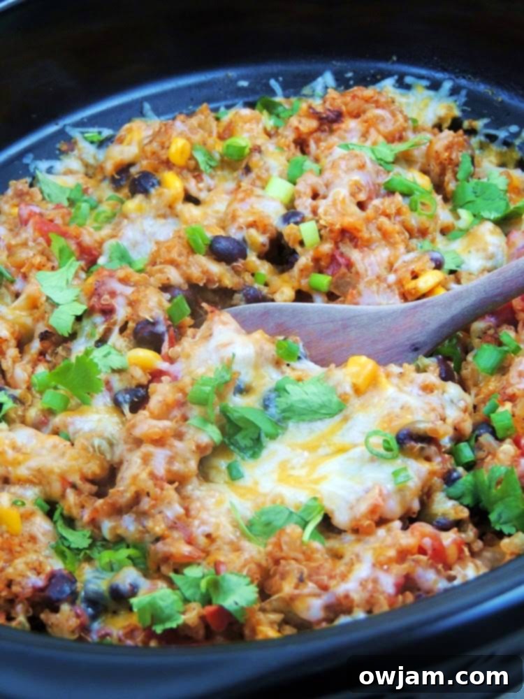 Slow Cooker Chicken Enchilada Quinoa