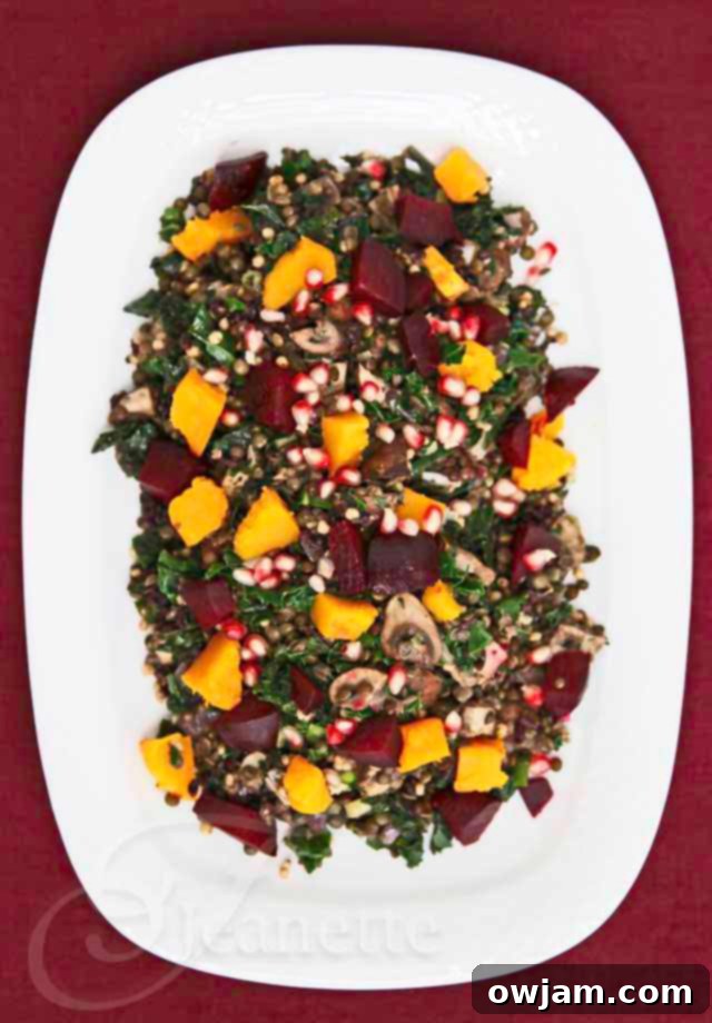 Lentil Salad with Kale, Whole Grains, Beets and Pomegranate Seeds