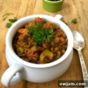Hearty Green Lentil Spinach Soup 7 Green Lentil Spinach Soup with spoon.