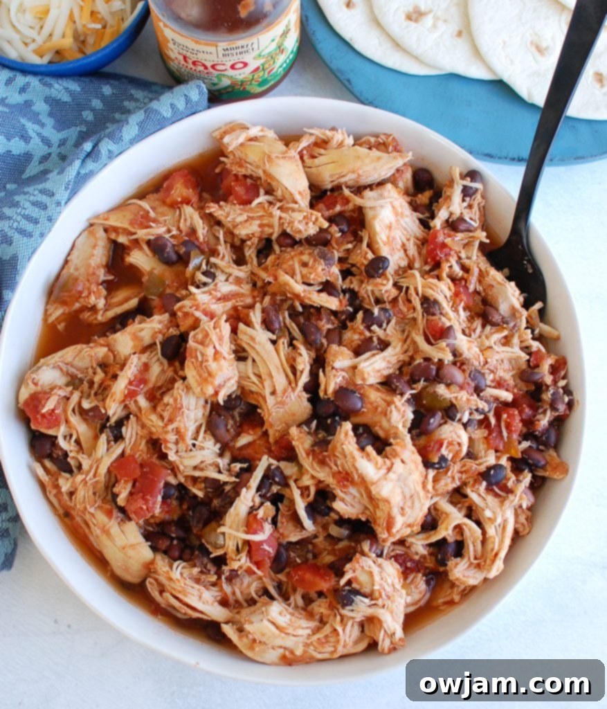 Slow Cooker Shredded Chicken with fork