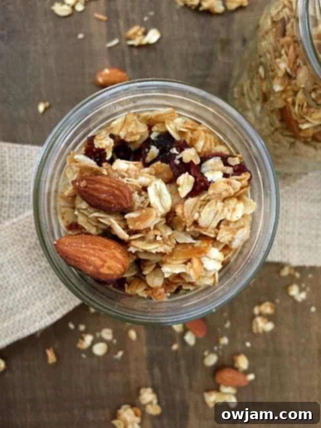 Coconut Cranberry Chia Crunch 2 Delicious Homemade Coconut Cranberry Granola in a bowl with a spoon