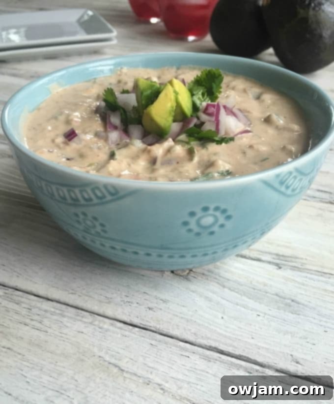 Creamy Mexican Dip