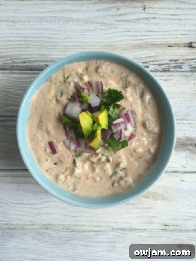 Creamy Mexican Dip