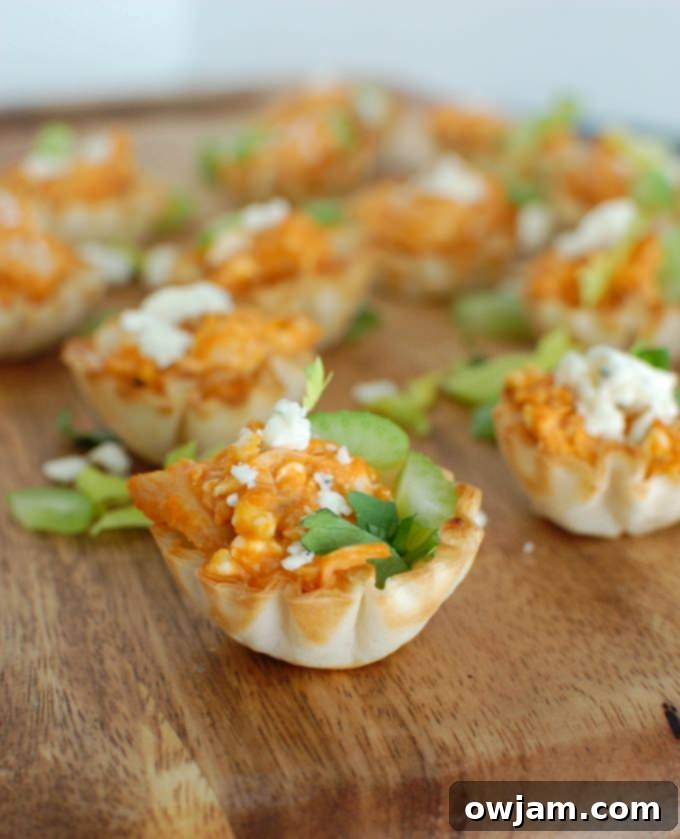Zesty Buffalo Chicken Hummus Bites 2 Buffalo Chicken Hummus Bites