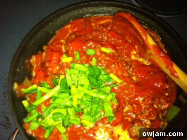 Rich tomato pasta sauce simmering with ground beef, herbs, and melted mozzarella cheese for goulash
