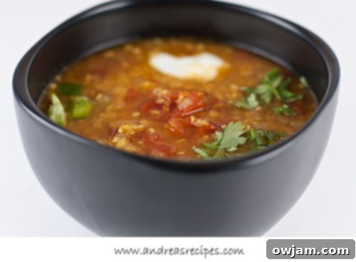 A hearty bowl of Spicy Red Lentil and Tomato Soup, ideal for a wholesome meal.
