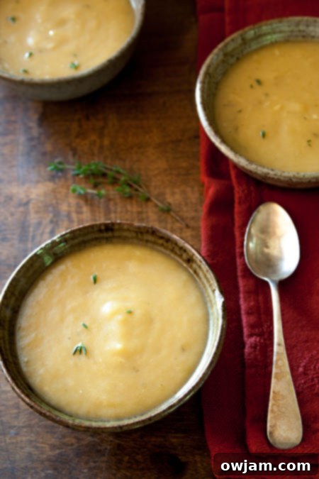 Creamy Roasted Garlic Cheddar Bisque, a cheesy and comforting soup experience.
