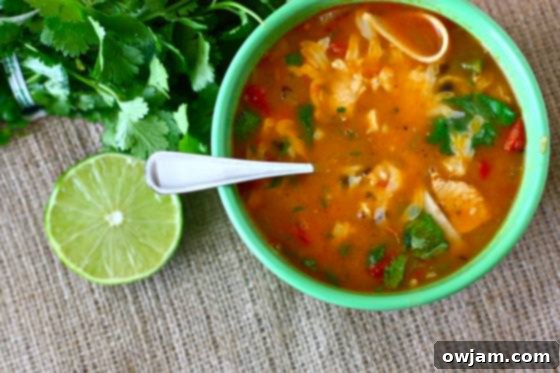 A bowl of vibrant Spicy Chicken Tortilla Soup with all the delicious toppings.
