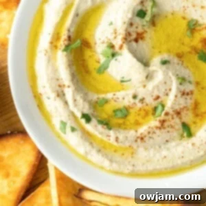 Homemade Baba Ghanoush in a white bowl, garnished.