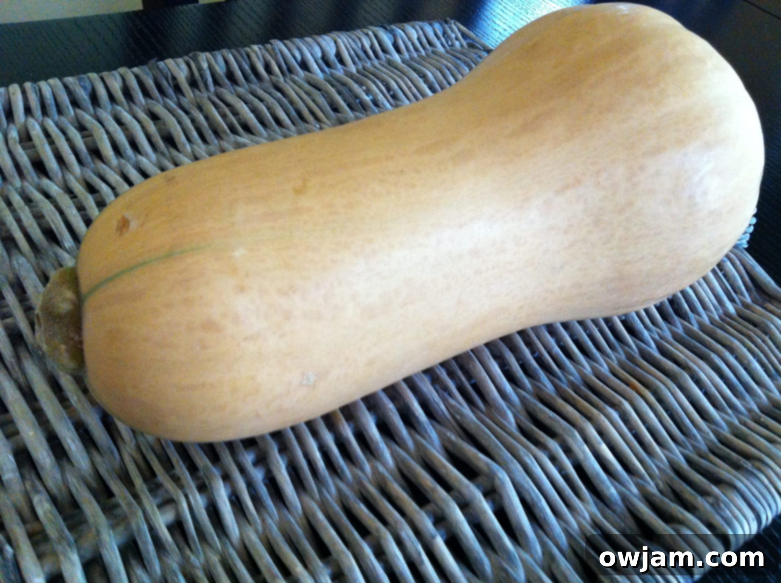 Whole butternut squash, ready to be prepared for delicious Roasted Butternut Squash Soup