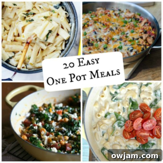 A collage of various delicious one pot meals, including pasta, chicken, and skillet dishes, promising easy cooking and minimal cleanup.