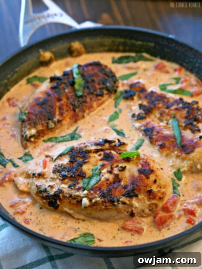 Comforting Skillet Basil Cream Chicken, ideal for a cozy dinner.