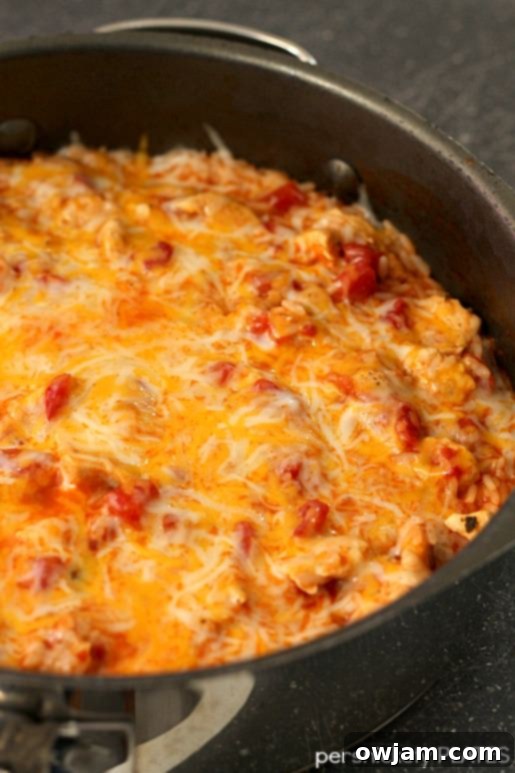 Flavorful Southwestern Chicken Skillet, a quick one-pot meal ready in 30 minutes.