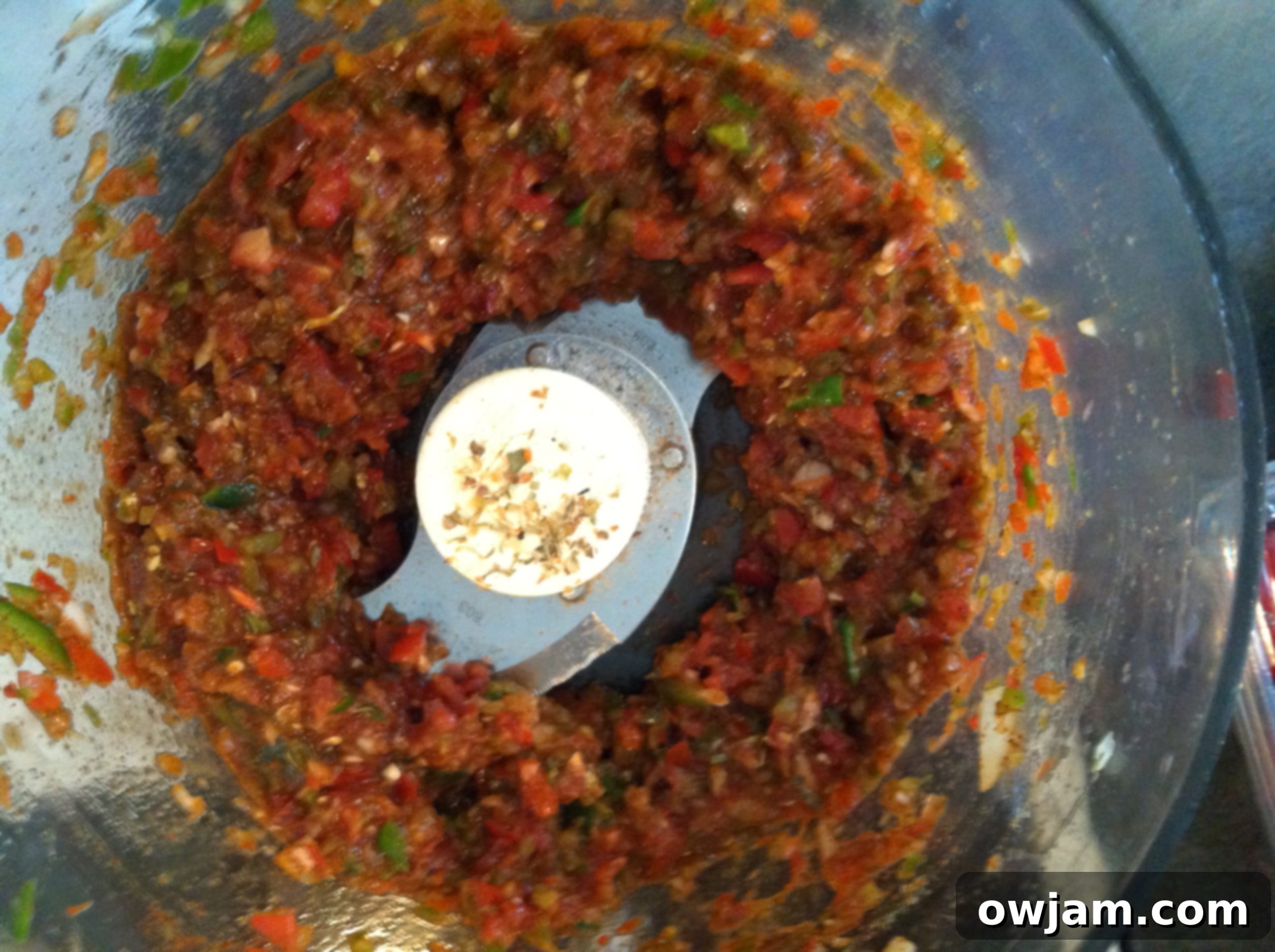 Partially processed ingredients for Kickin' Salsa in a food processor
